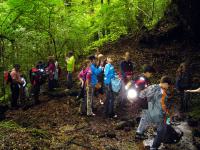 Exkursion Gersbachtal 6/2007