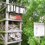 Kurs 12 Bi im Landauer Zoo 22.5.13