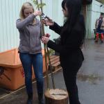 8a - Projekt "grünes Klassenzimmer" 22.5.13