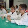 Experimentiertag 6b, 6c an der Hochschule PS 7/16