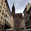 6. und 8. Klassen in Straßburg  7/16