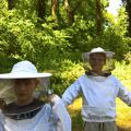 Bienen-AG 5/18