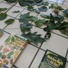 Impressionen Projektwoche 6/26