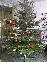 Leibniz weihnachtlich 2006